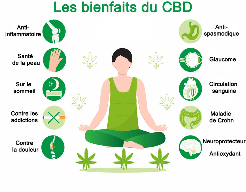 Domaine Du CBD Domaine Du CBD Pourquoi de plus en plus de Français